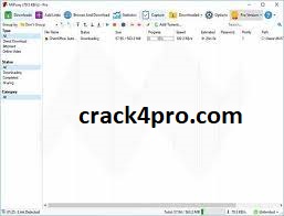 Mipony Pro Crack 