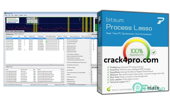 Process Lasso Pro Crack 